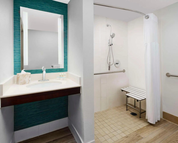 Hilton Garden Inn Orlando at SeaWorld photo 13