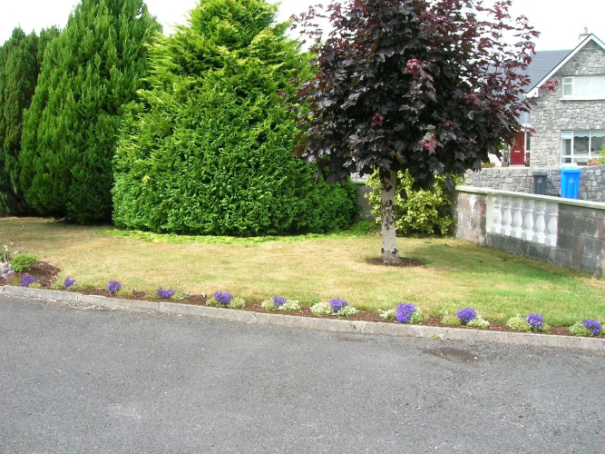 Clareville B&b