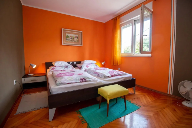 Apartment Un chat