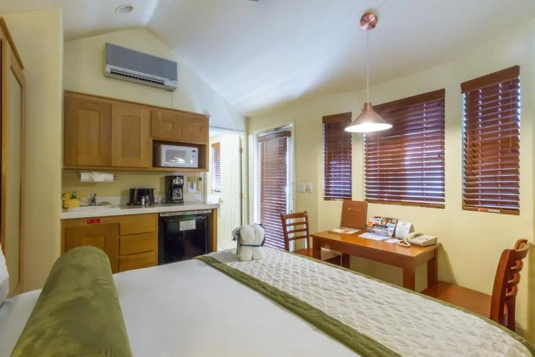 1 Bedroom Double Suite