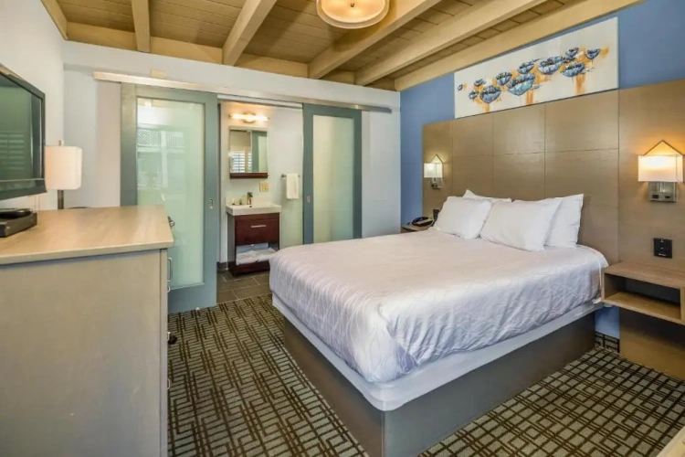1 Bedroom Standard room