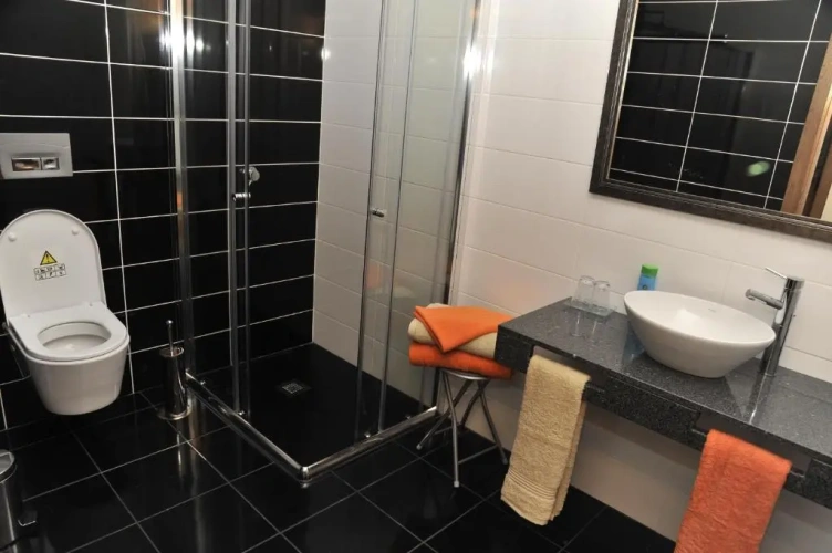 Deluxe Suite with view