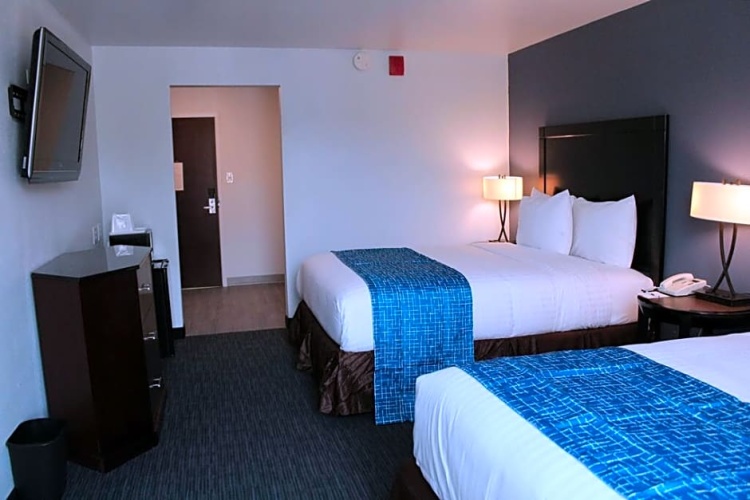 Quadruple Suite