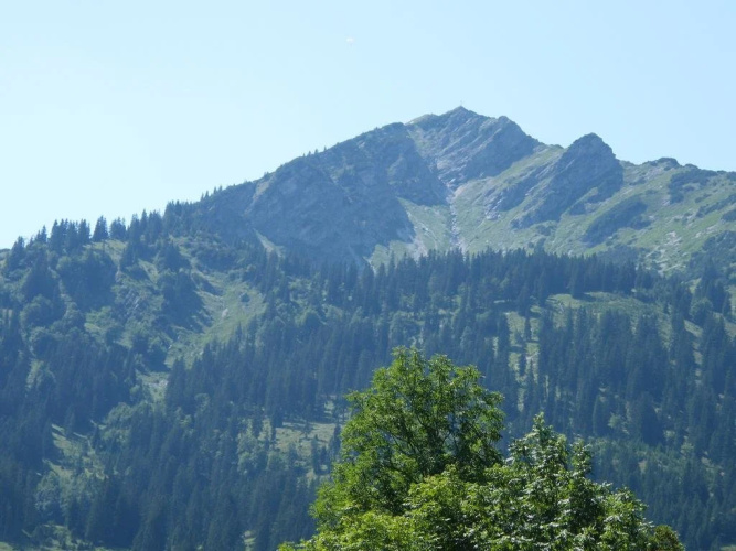 Durst Roswitha