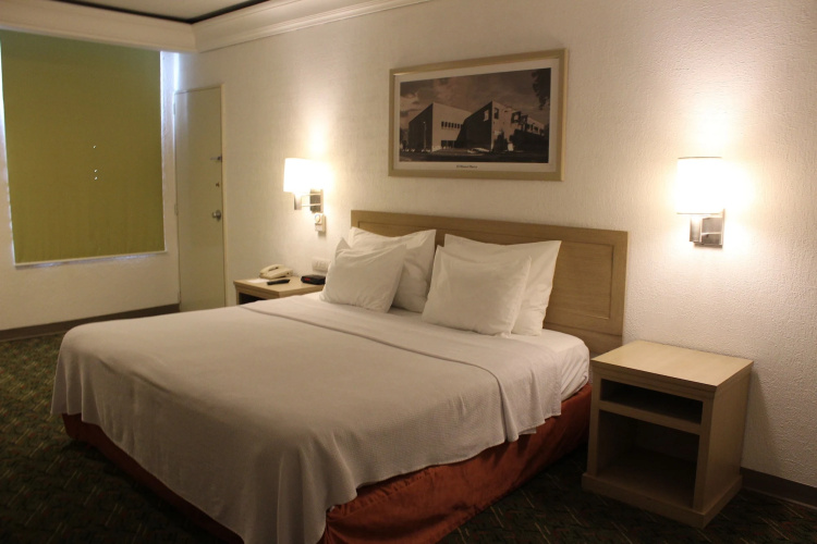 Hotel Monterrey Macroplaza photo 6