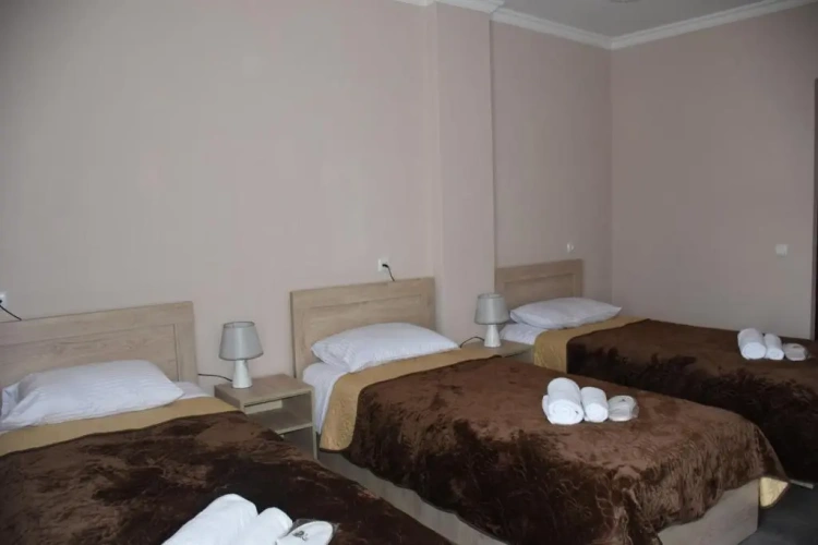 Standard Triple room with city view