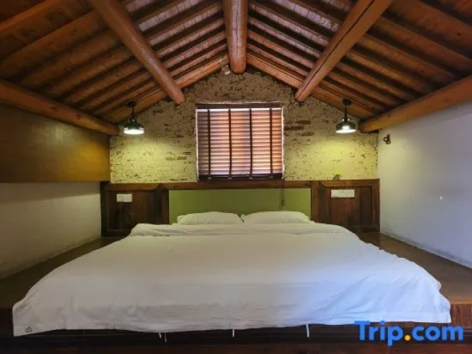 Double Apartment