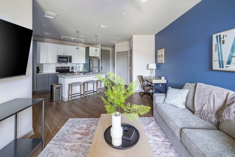 1 Bedroom Apartment