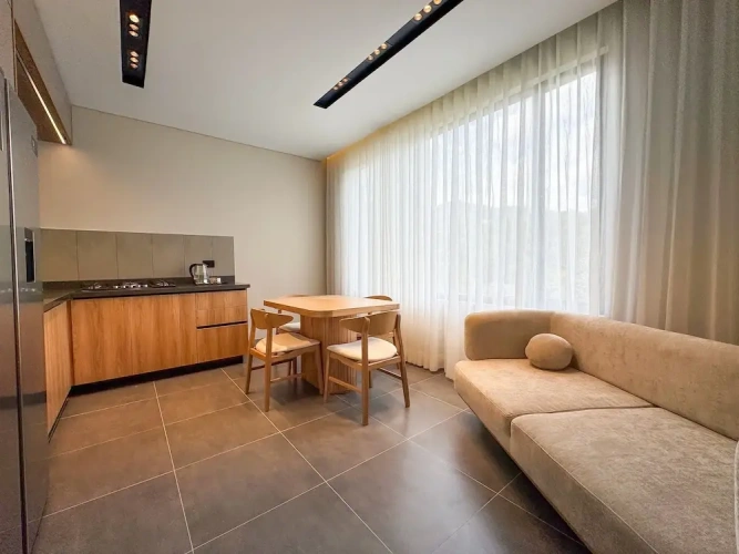 Luxury Apartment