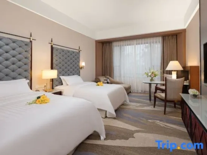 Standard Twin room with city view