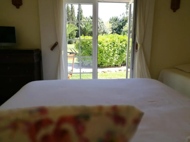 Standard Double room with pool view