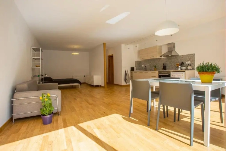 1 Bedroom Apartment