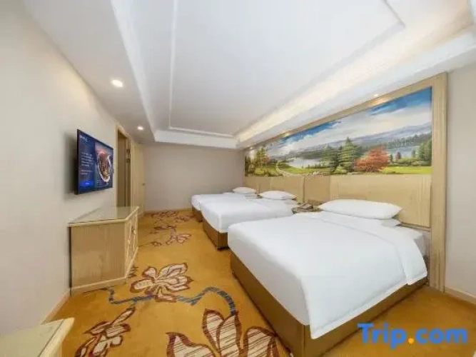 Deluxe Double room with street view