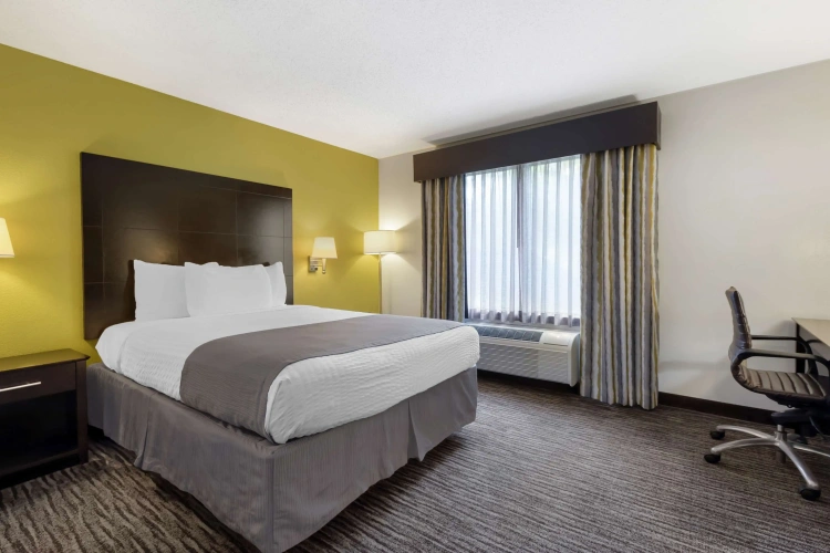 Standard Double room