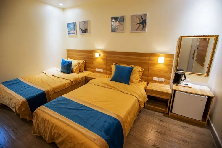 Deluxe Twin room