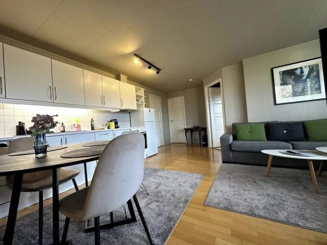 Aurora Borealis Apartment - Sleeps 3 - Parking