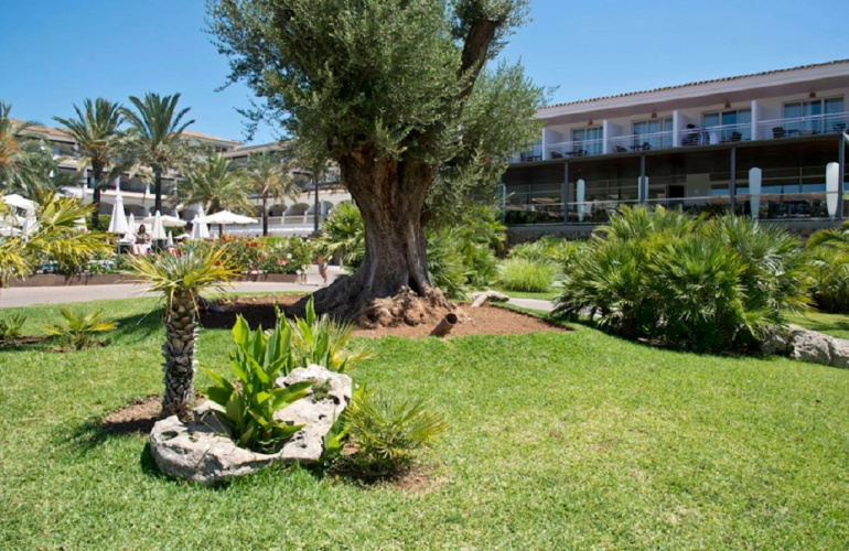 Beach Club Font De Sa Cala photo 18