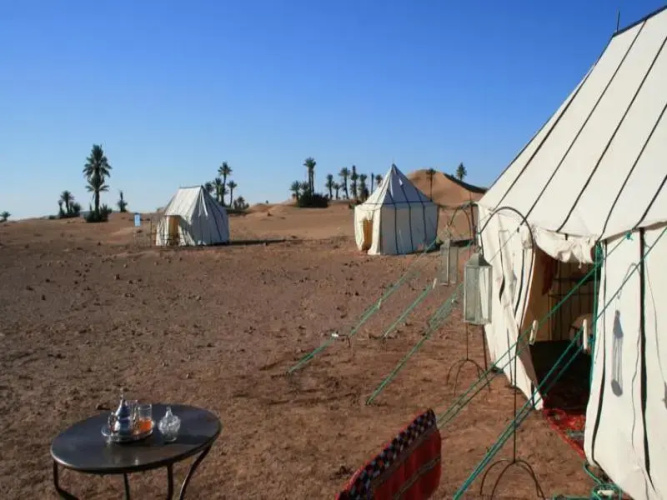 Sahara Safari Camp