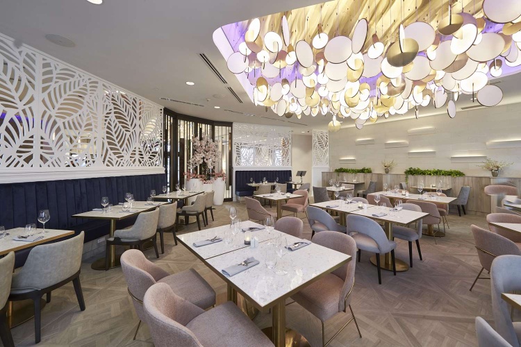 Bloom Mississauga, Tapestry Collection by Hilton photo 16