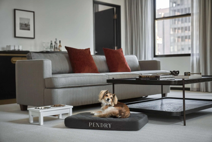 Pendry Chicago photo 7