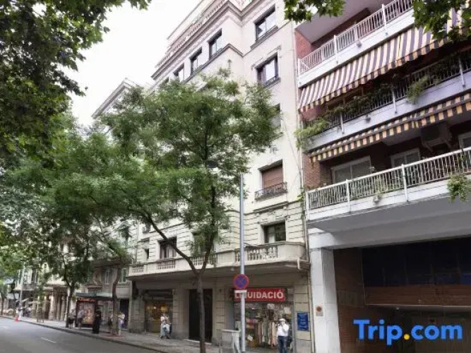 Apartment Mirland