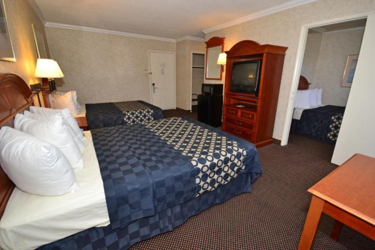 1 Bedroom Suite