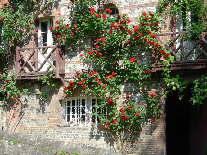 Le Moulin Fleuri Du Petit Appeville