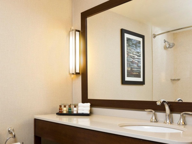 Sheraton Boston Needham Hotel photo 11
