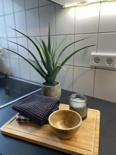 Room-spacious Room in Coliving Apartment