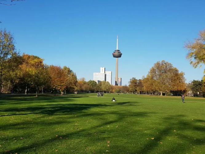 Uitzicht Over Dromerig Keulen