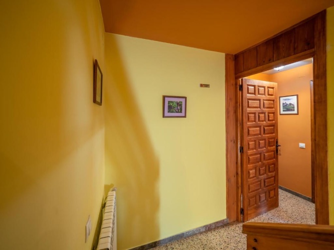 Family Studio