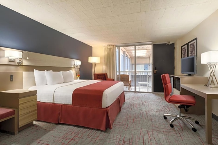 Standard Double room with courtyard view