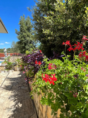Studio apartment Gorana