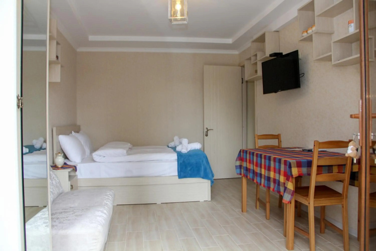 Pearl apartment in Kutaisi