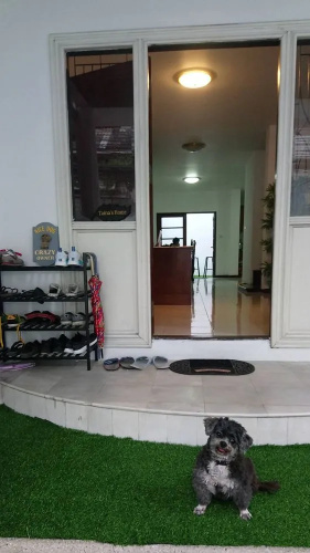 Taina's Home - Hostel