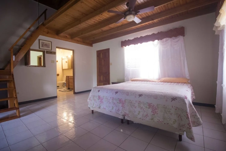 Superior Double Suite