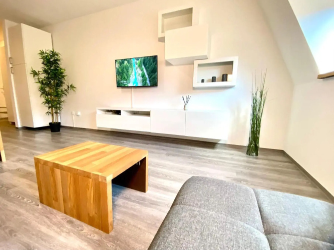 Apartment 3 Sovice