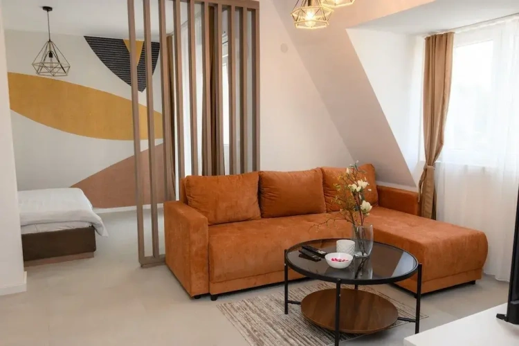 Luxury Apartment