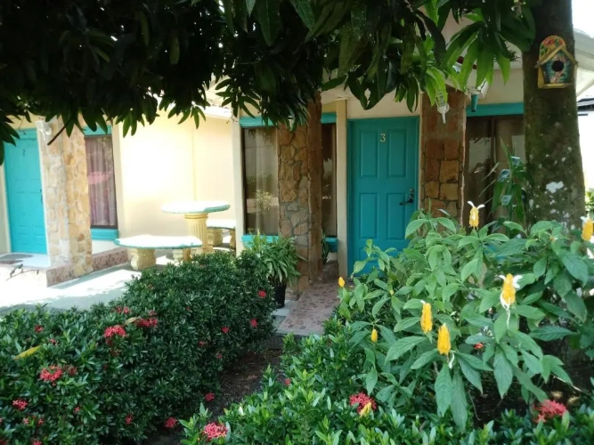 Standard Quadruple room with garden view