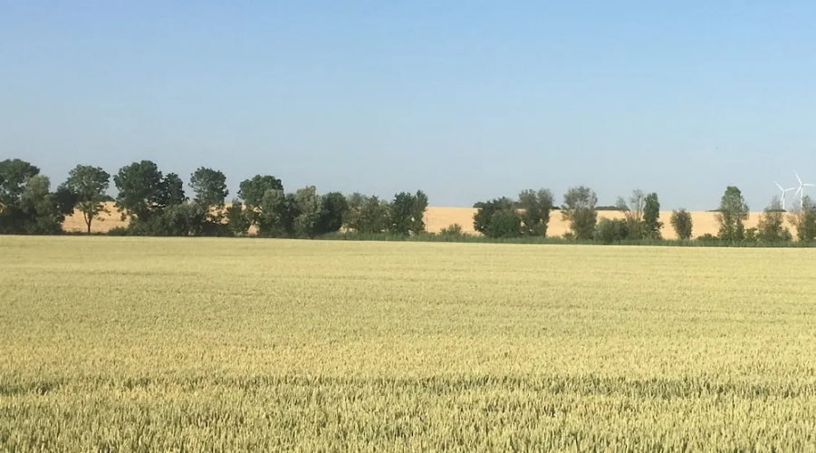 Ferienwohnung Walkershofen