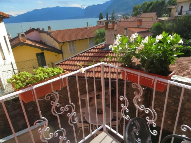 Apartment with garden view