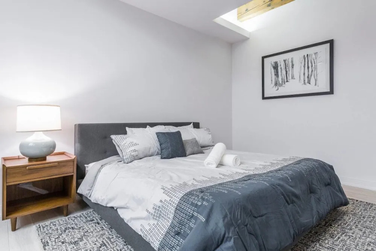 3 BDR Downtown Luxury Loft-spacious, Safe & Secure