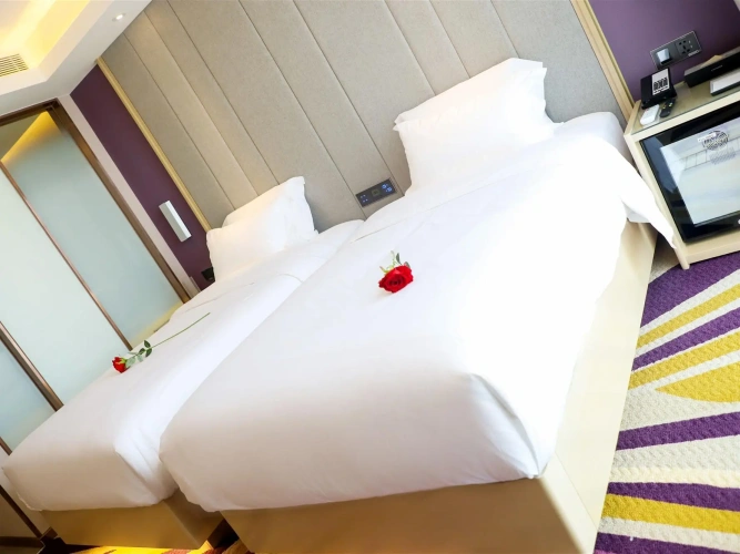 Standard Twin room with city view