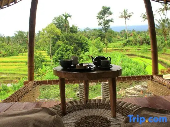 Wiwaka Bamboo House