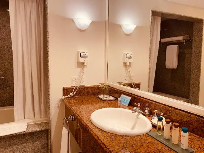 Standard Double Club room with city view