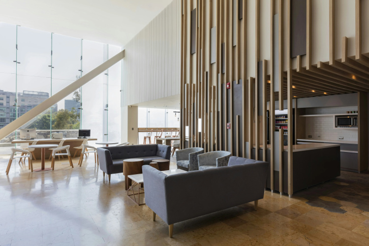 Hilton Garden Inn Mexico City Santa Fe photo 13