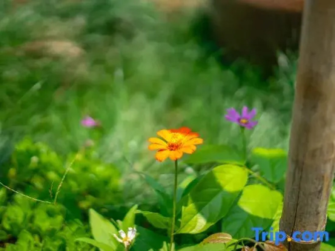 Weizhoudao Yishiguang Homestay