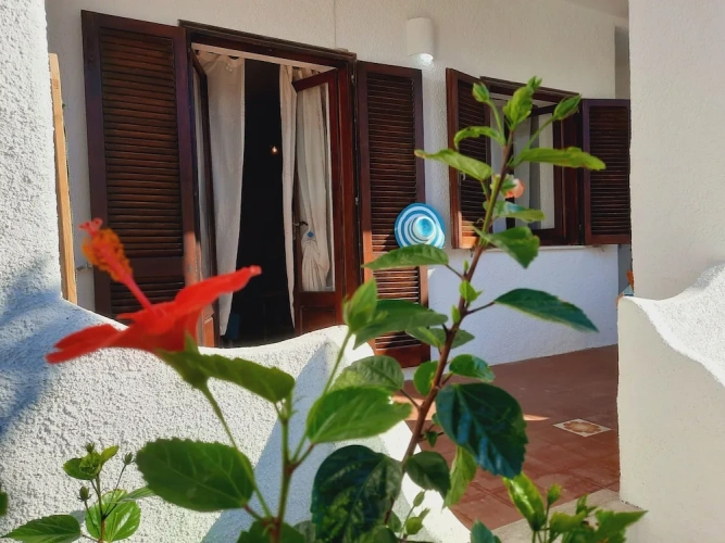 1 Bedroom Apartment with balcony