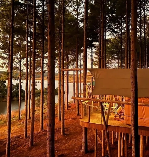 Standard Double room with lake view