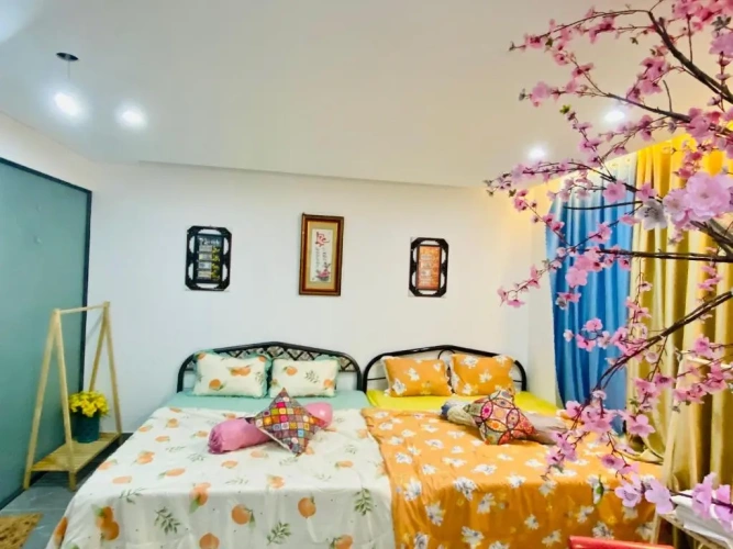 Standard Family room